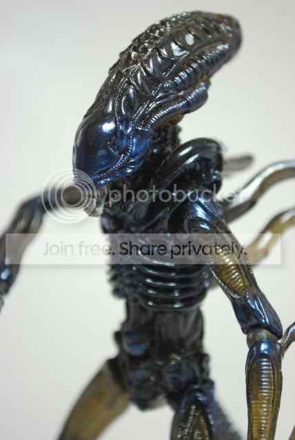 ALIENS - ALIEN WARRIOR REVOLTECH #016 - figurine articulée 15 cm, kaiyodo jap., KAYO40152 – La Marque Zone